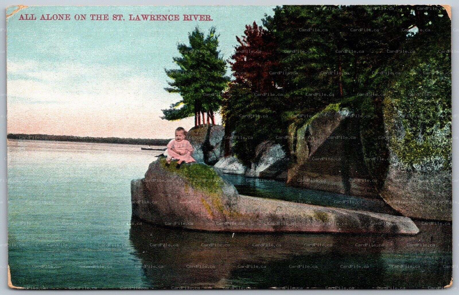 Postcard St. Lawrence River Ontario c1910s Baby Left All Alone on Rock