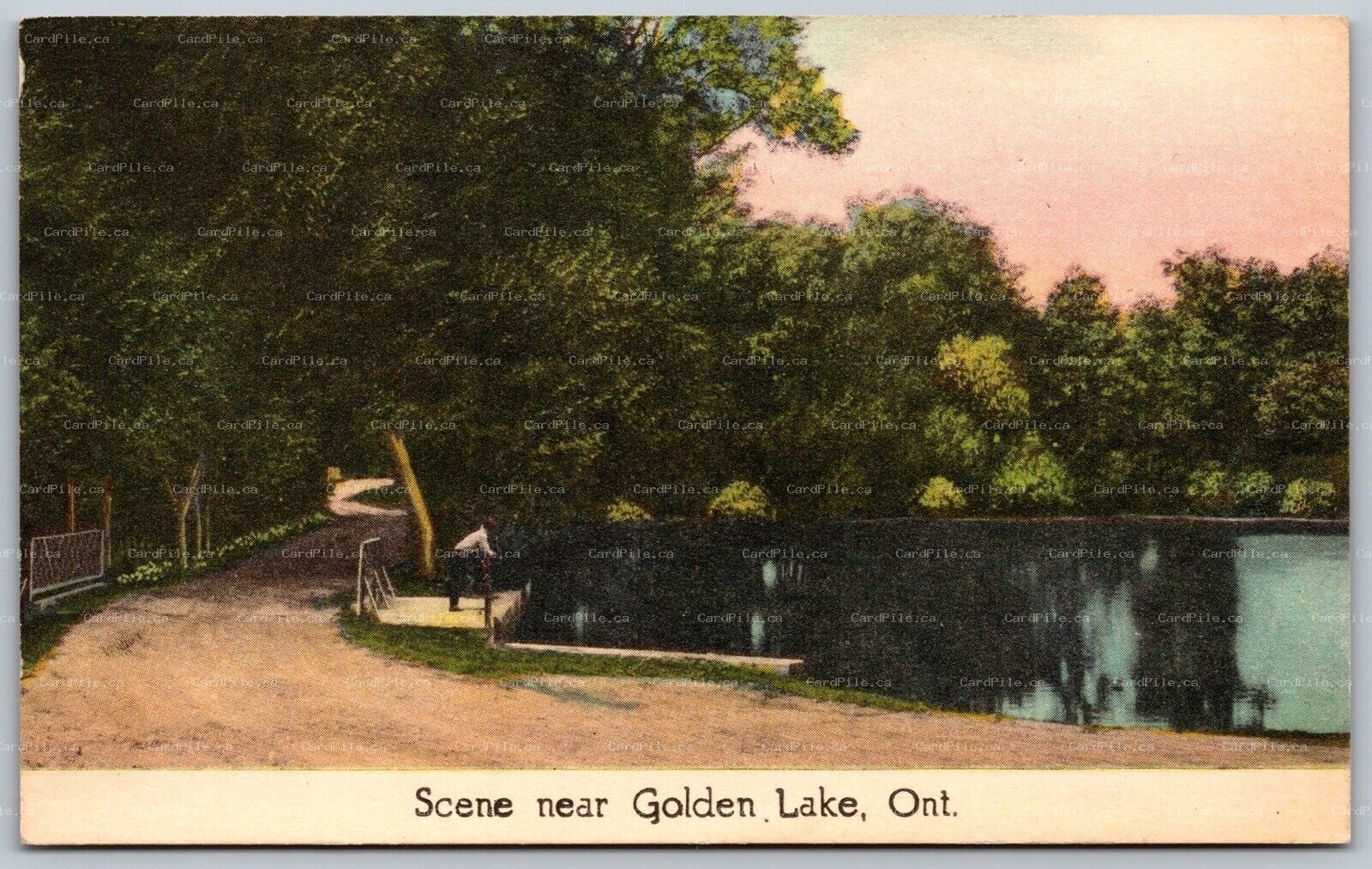 Postcard c1930s Scene Near Golden Lake Ontario Renfrew County