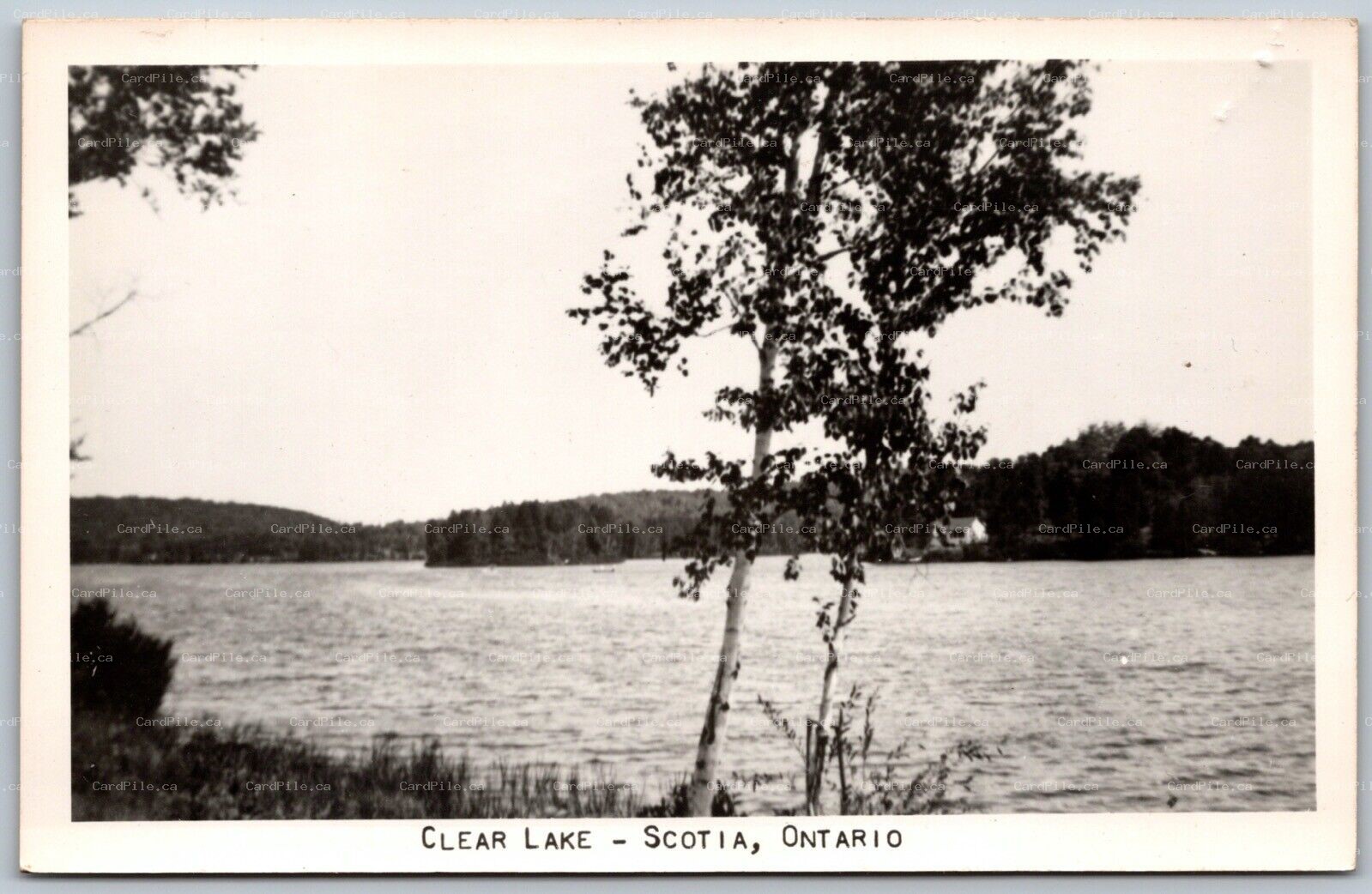 Postcard RPPC c1940s Scotia Ontario Clear Lake Scenic Parry Sound District 1