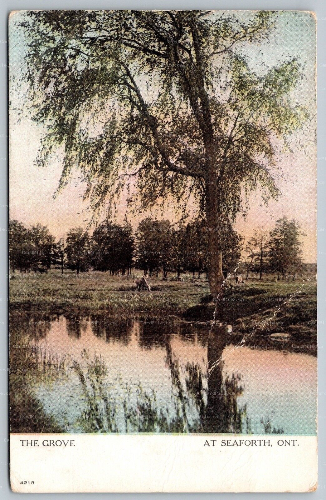 Postcard Seaforth Ontario c1908 The Grove Huron County