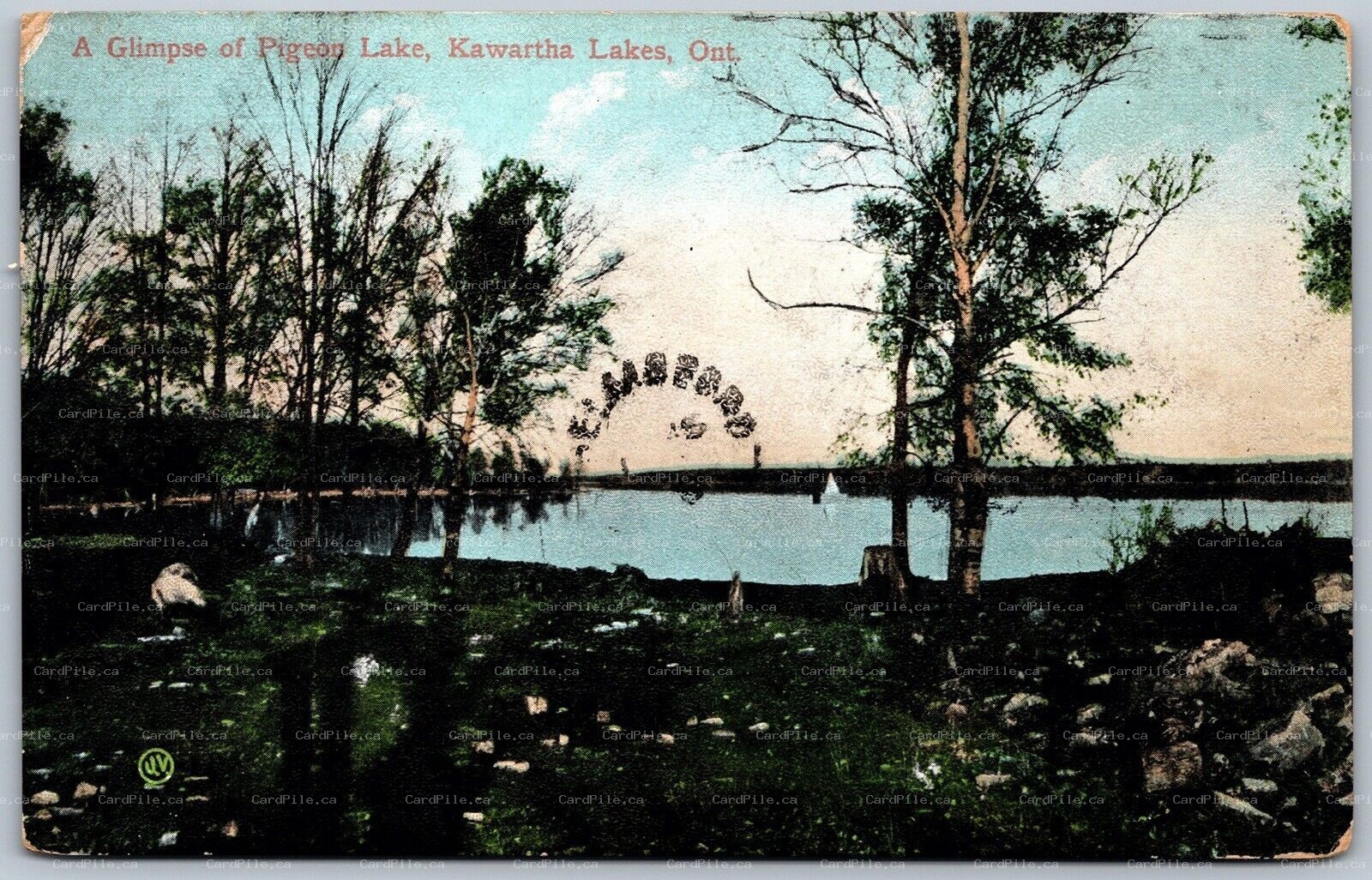 Postcard Kawartha Lakes Ontario 1908 A Glimpse of Pigeon Lake Scenic Split Rings