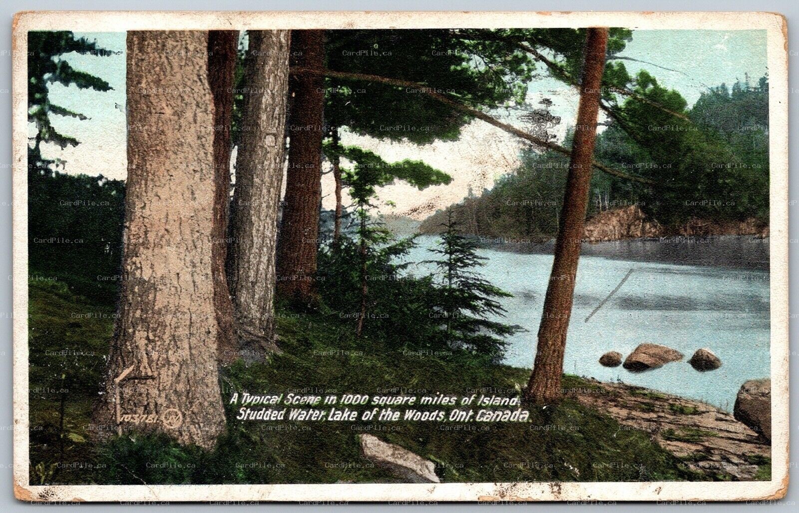 Postcard Lake of The Woods Ontario c1912 Studded Water Scenic View