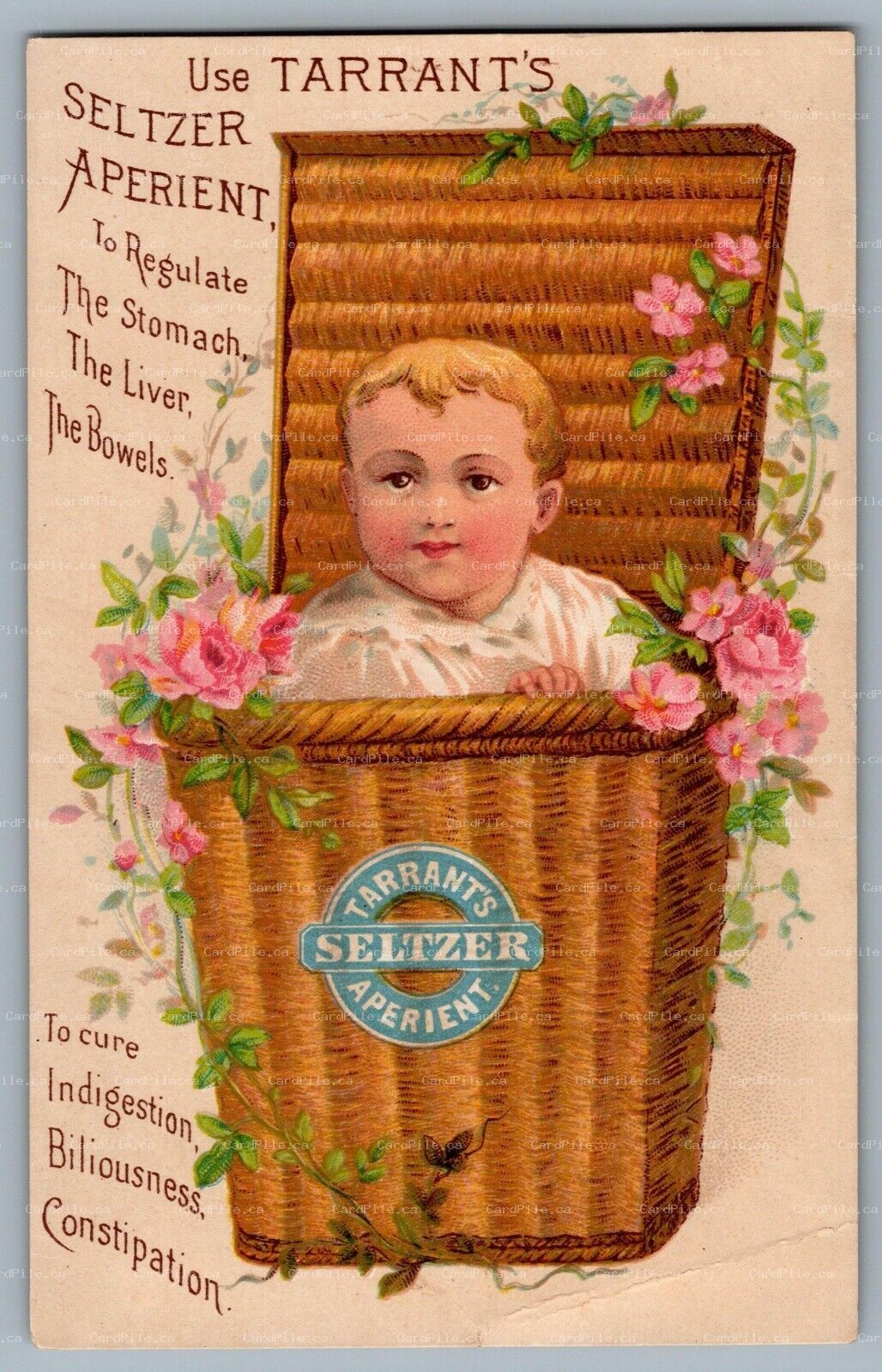 Trade Card c1880s Advertisement Tarrants Seltzer Aperient Baby In Basket
