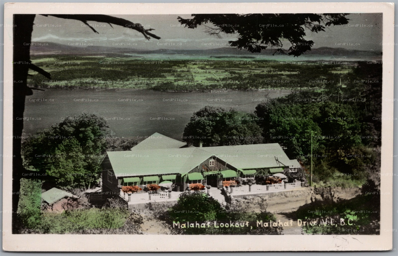 Postcard Color RPPC Vancouver Island British Columbia Malahat Drive Lookout