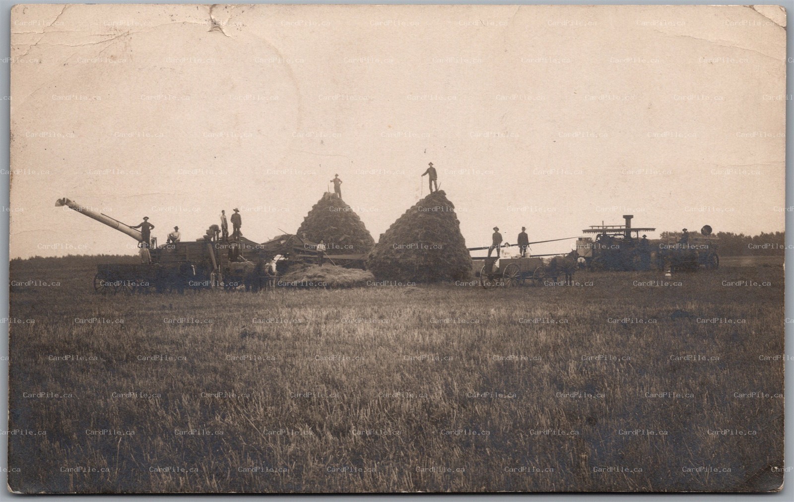 Postcard RPPC c1909 St. James Minnesota Threshing Crew Haystacks Steam Farming