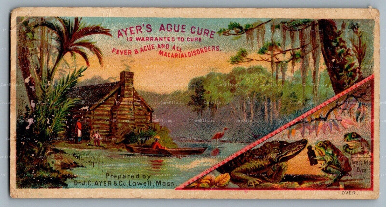 Trade Card c1880s Advertisement Ayers Ague Cure Frogs & Alligator Cabin Swamp