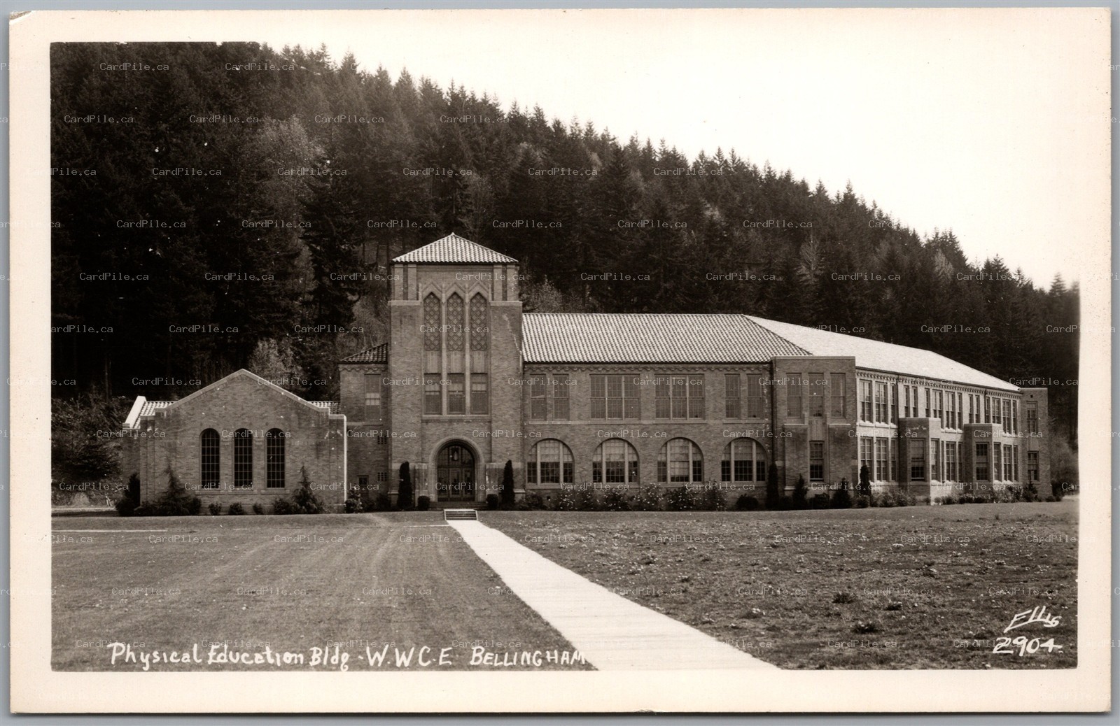 Postcard RPPC Bellingham Washington WWCE Physical Education Building by Ellis