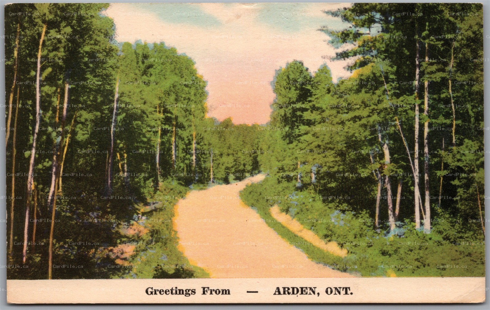 Postcard Greetings from Arden Ontario c1950 Forest Road to Gelatt Pennsylvania