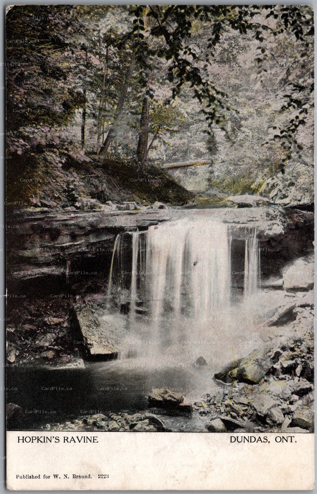 Postcard Dundas Ontario c1907 Hopkin's Ravine Waterfall Scenic View W. N. Braund
