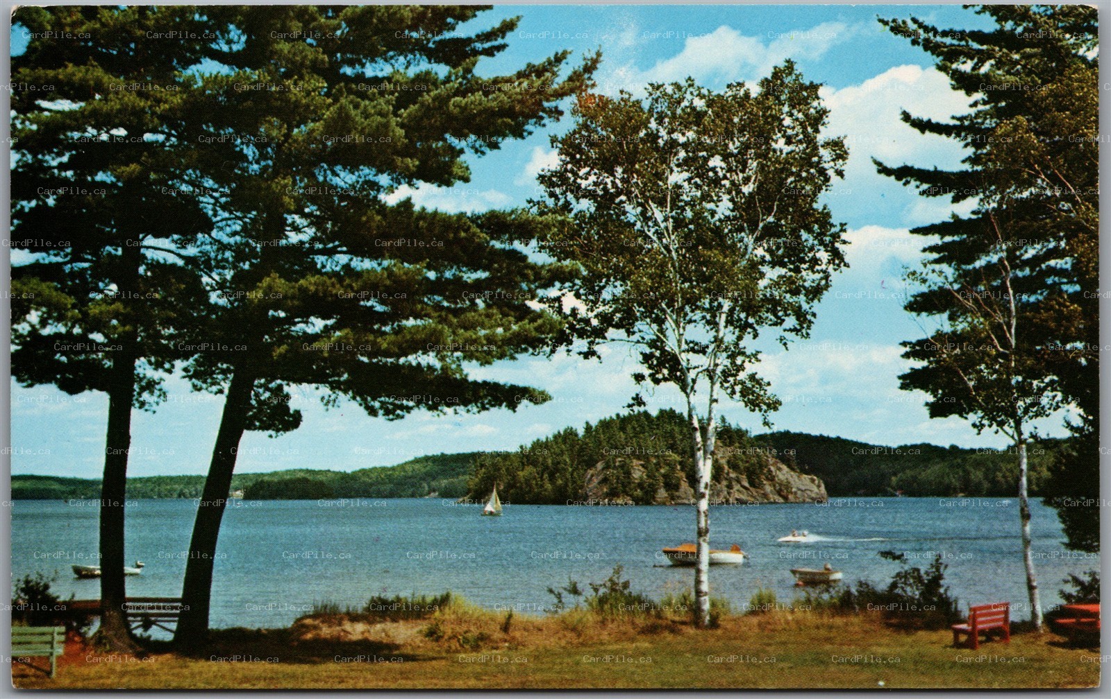 Postcard Port Sydney Ontario Mary Lake Muskoka Sailboat Boats Scenic View