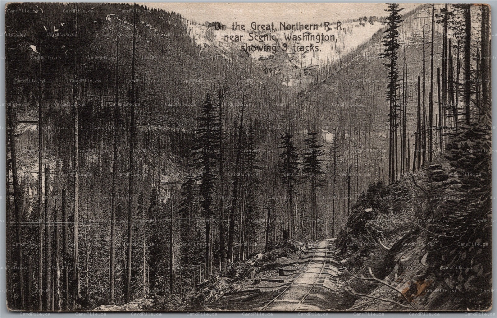 Postcard Scenic Washington Great Northern Railroad Three Tracks Mountains