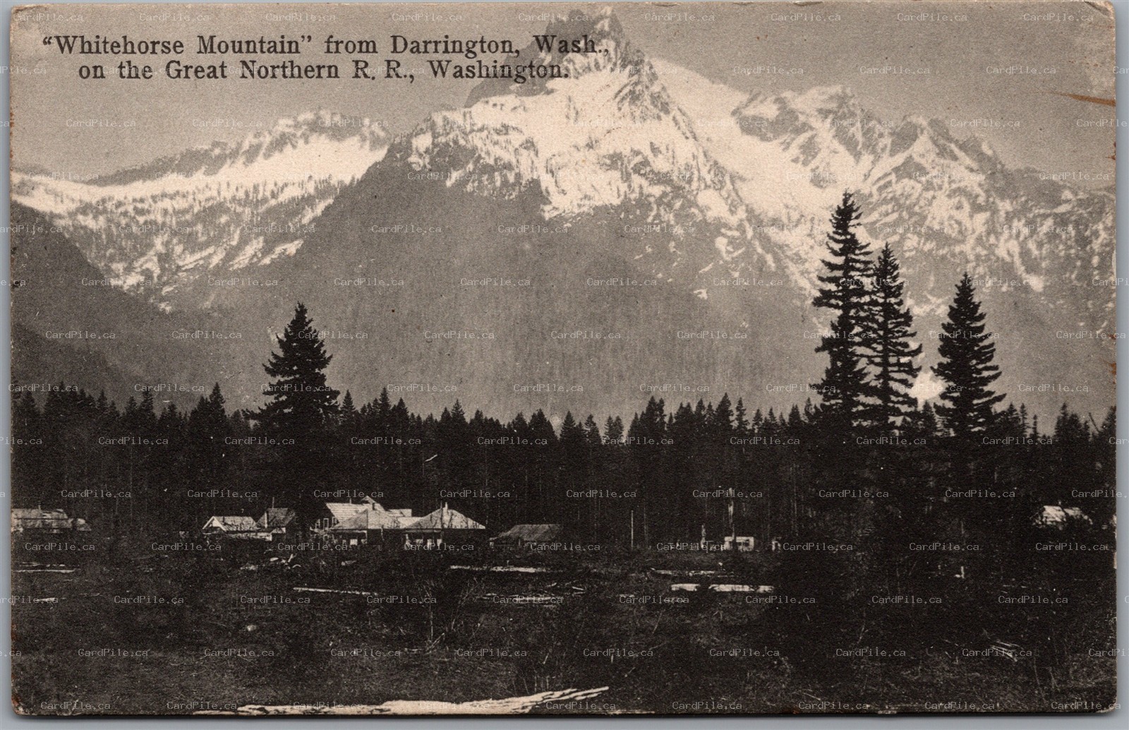 Postcard Darrington Washington Whitehorse Mountain Great Northern Railroad