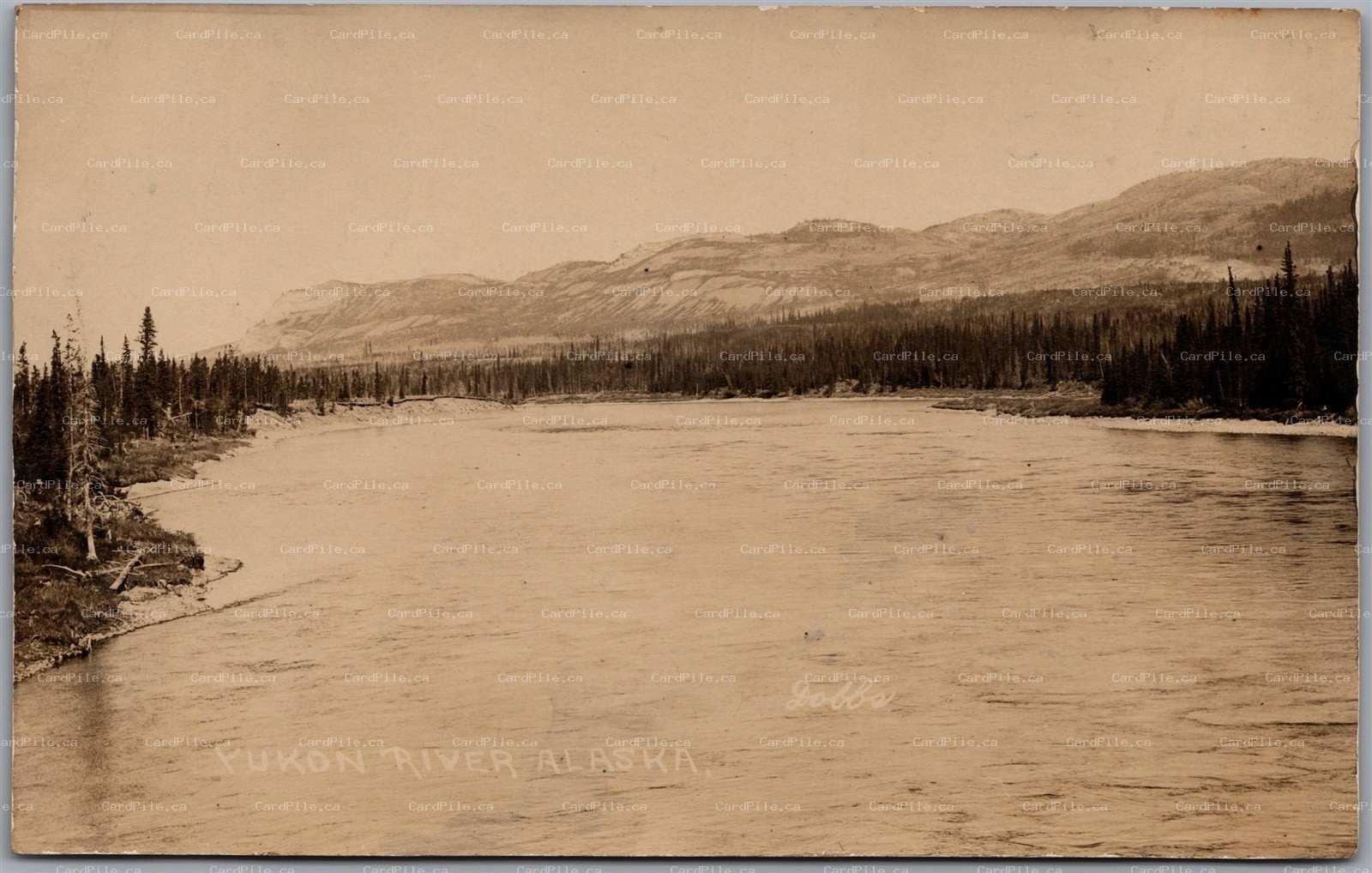 Postcard RPPC Yukon River Alaska Mountains Wilderness by Beverly Bennett Dobbs