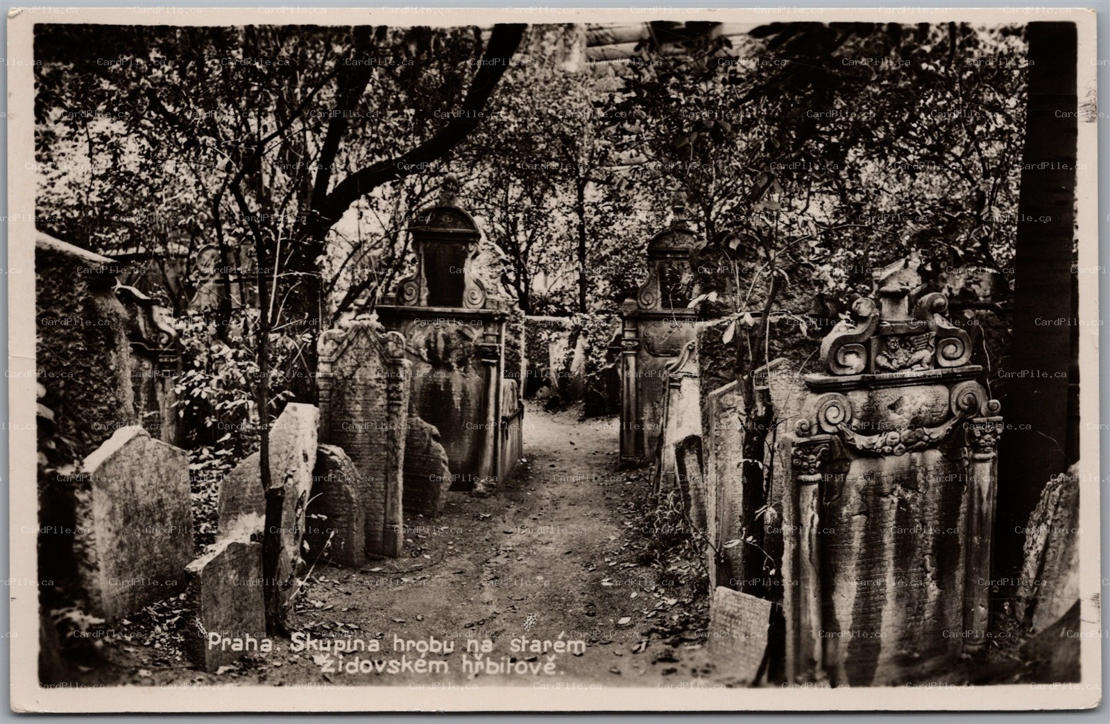 Postcard RPPC Prague Bohemia Czechoslovakia Old Jewish Cemetery Gravestones