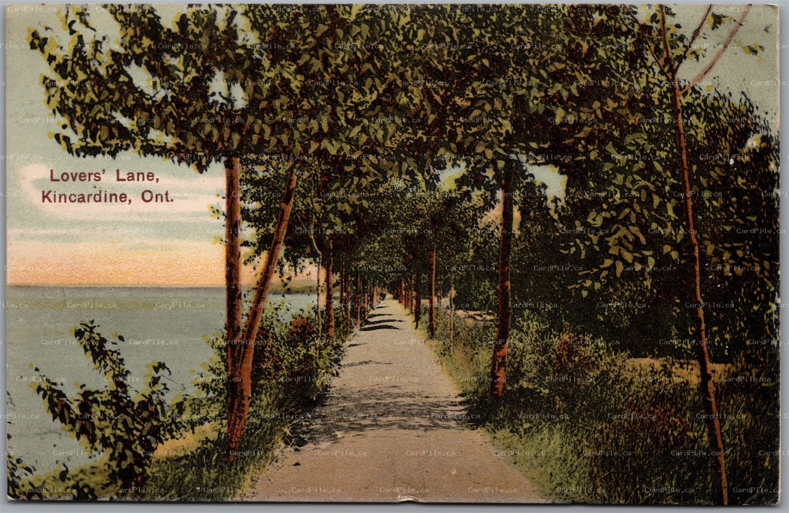 Postcard Kincardine Ontario c1907 Lovers Lane Split Ring Cancel Chesterfield ONT
