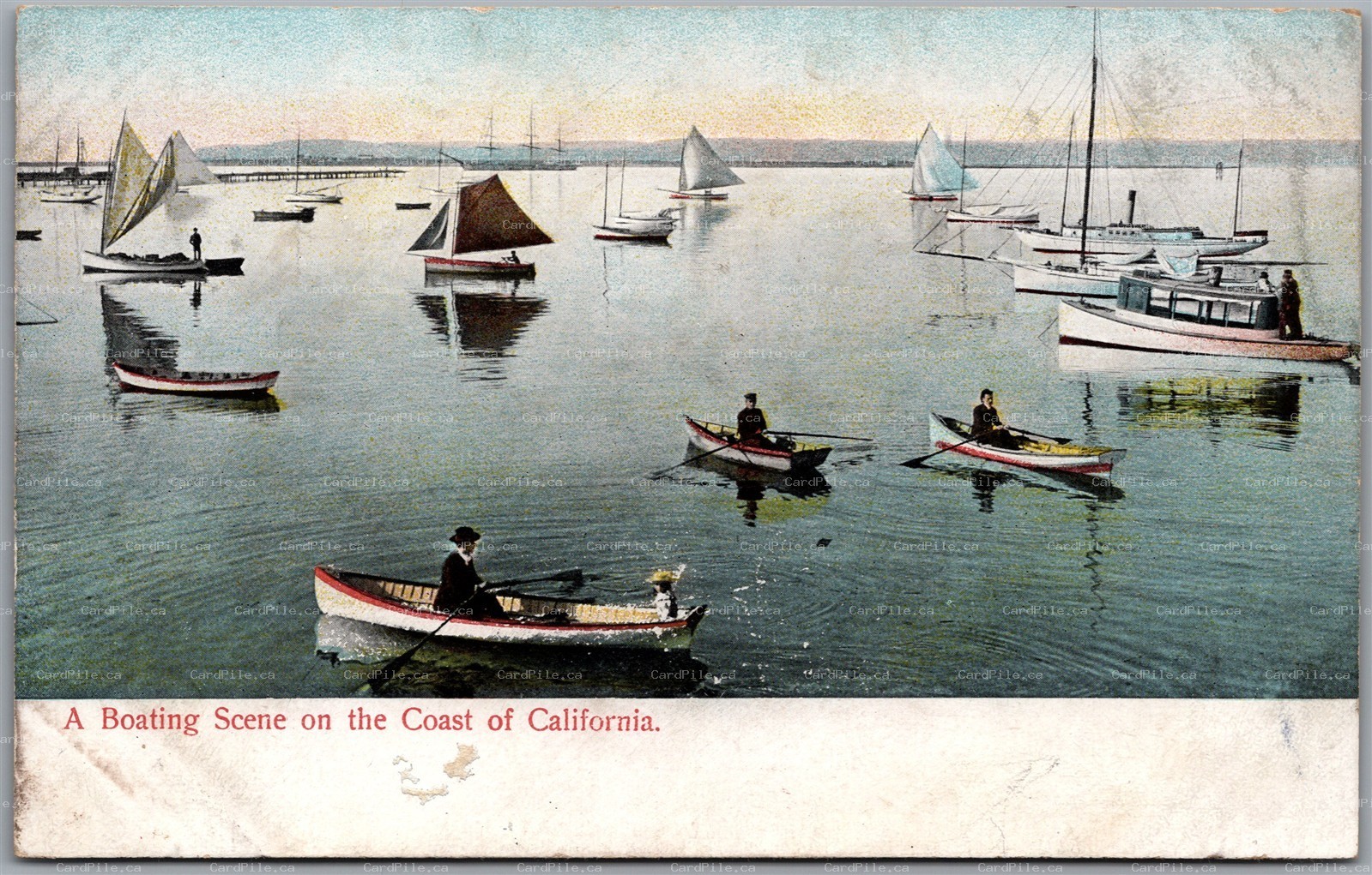 Postcard California A Boating Scene on the Coast Sailboats Rowboats Harbor