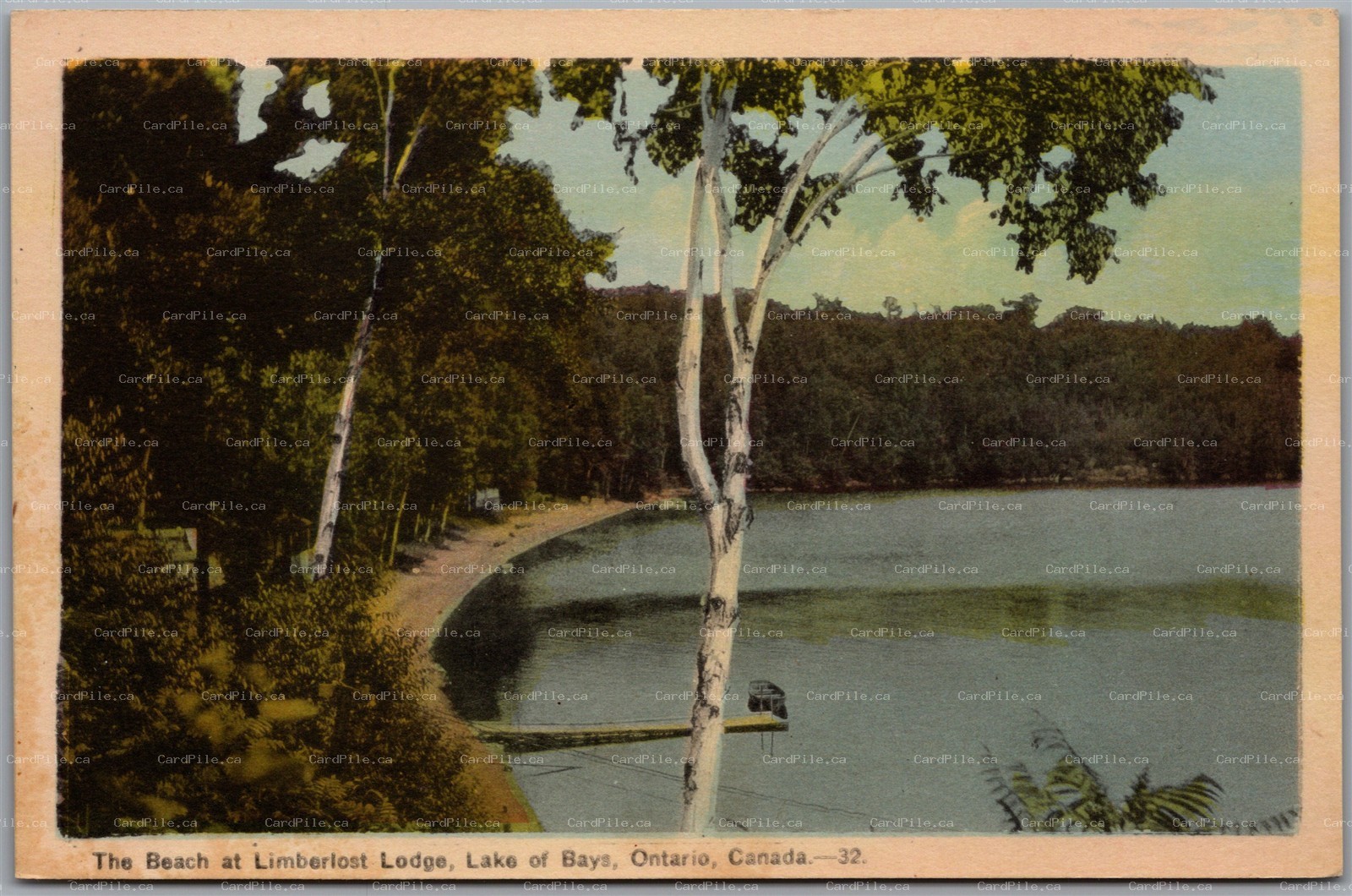 Postcard Lake of Bays Ontario Beach at Limberlost Lodge Birch Trees Muskoka PECo
