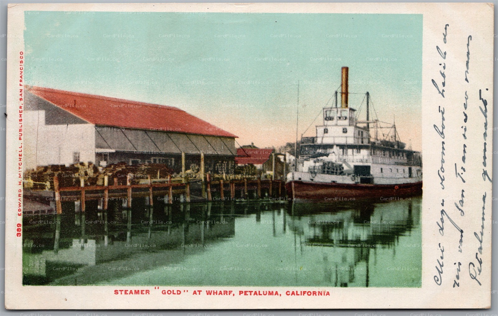 Postcard Petaluma California Steamer Gold at Wharf Sonoma County