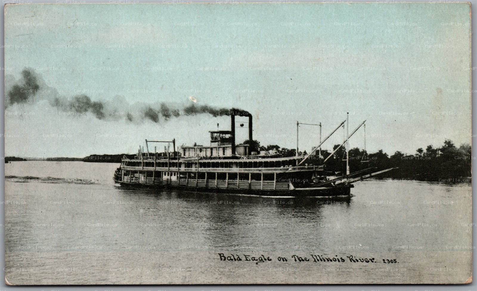 Postcard c1909 Steamer Bald Eagle Packet Company on the Illinois River