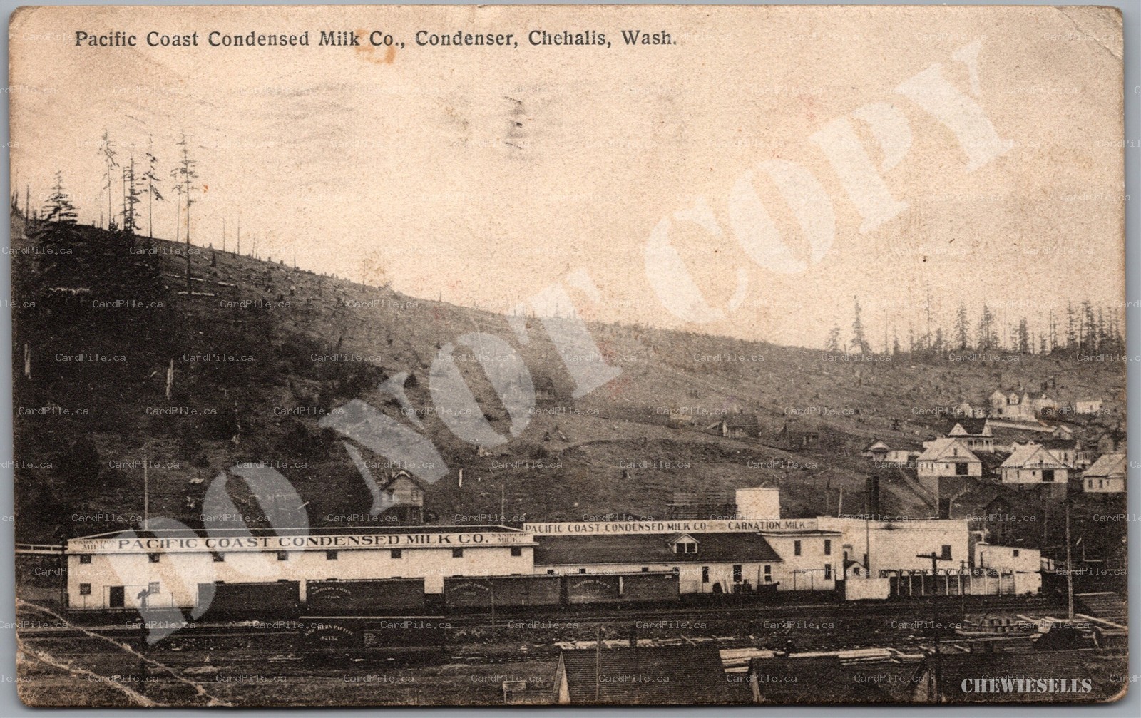 Postcard Chehalis Washington 1909 Pacific Coast Condensed Milk Co. Railway Cars