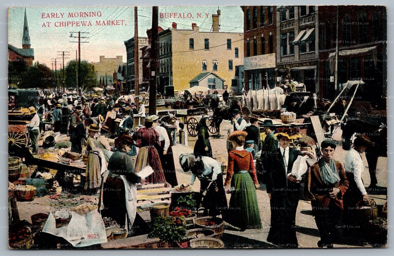 Postcard Buffalo New York c1907 Early Morning At Chippewa Market Vendors Horses