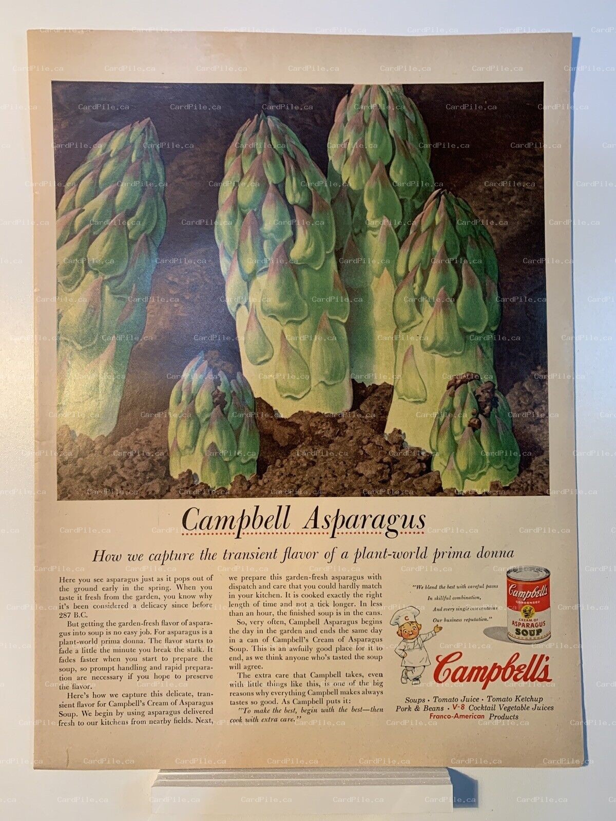 1955 Campbell's Soup - Cream of Asparagus - Magazine Ad
