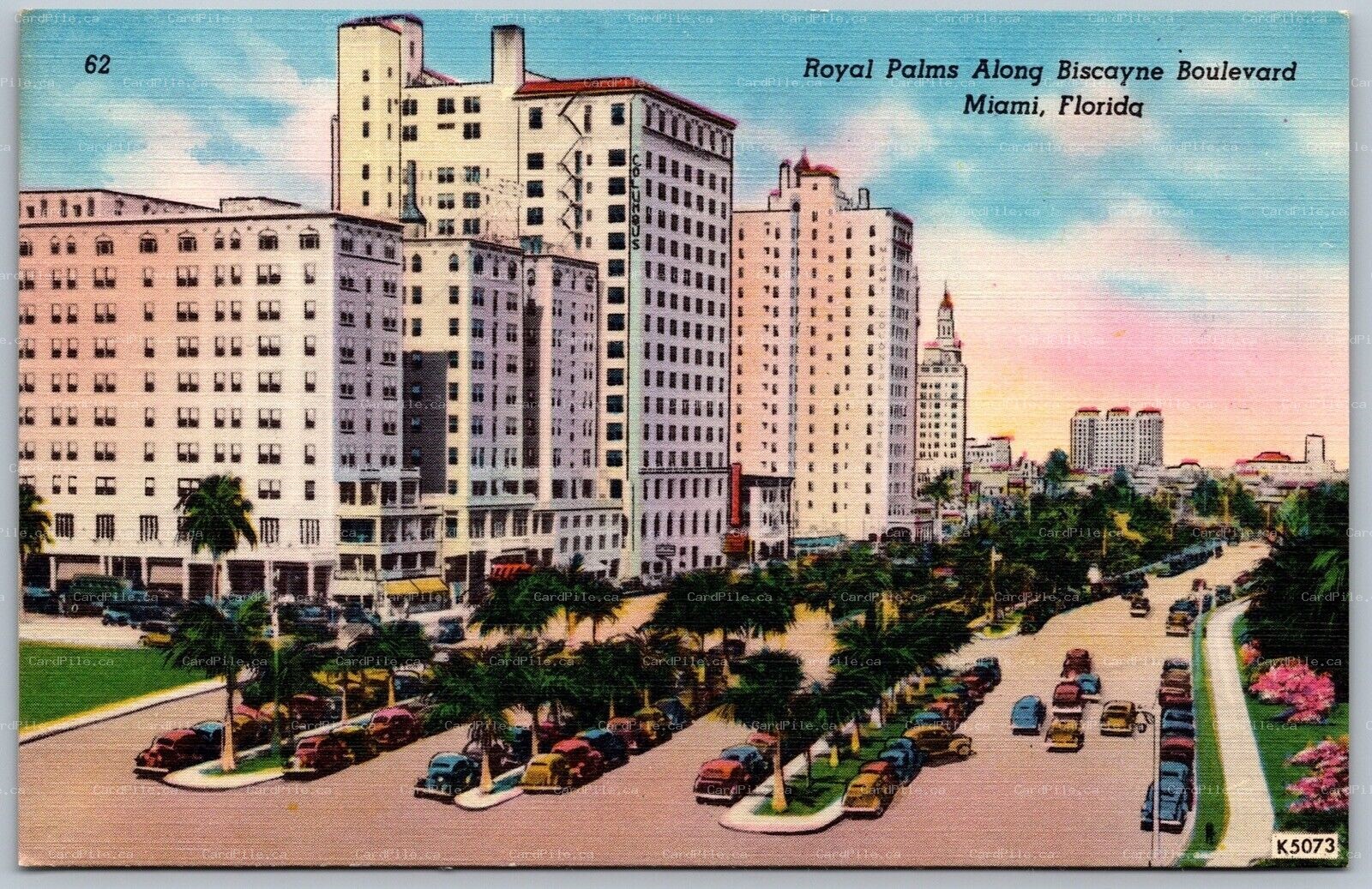 Postcard Miami Florida 1950s Royal Palms Along Biscayne Boulevard Old Cars Linen