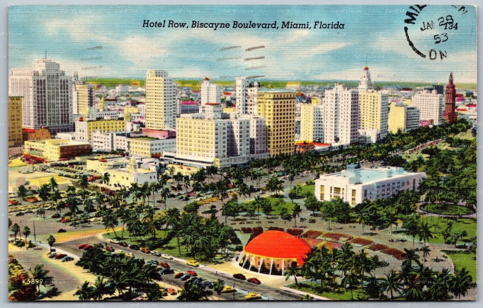 Postcard Miami FL c1953 Hotel Row Biscayne Boulevard Split Ring Milliken Ontario