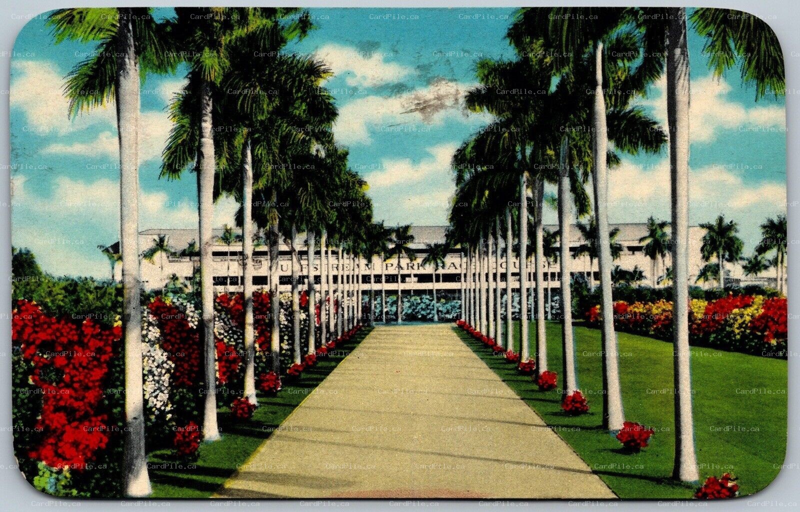 Postcard Hollywood Florida c1952 Gulfstream Park Main Club Terrace Entrance