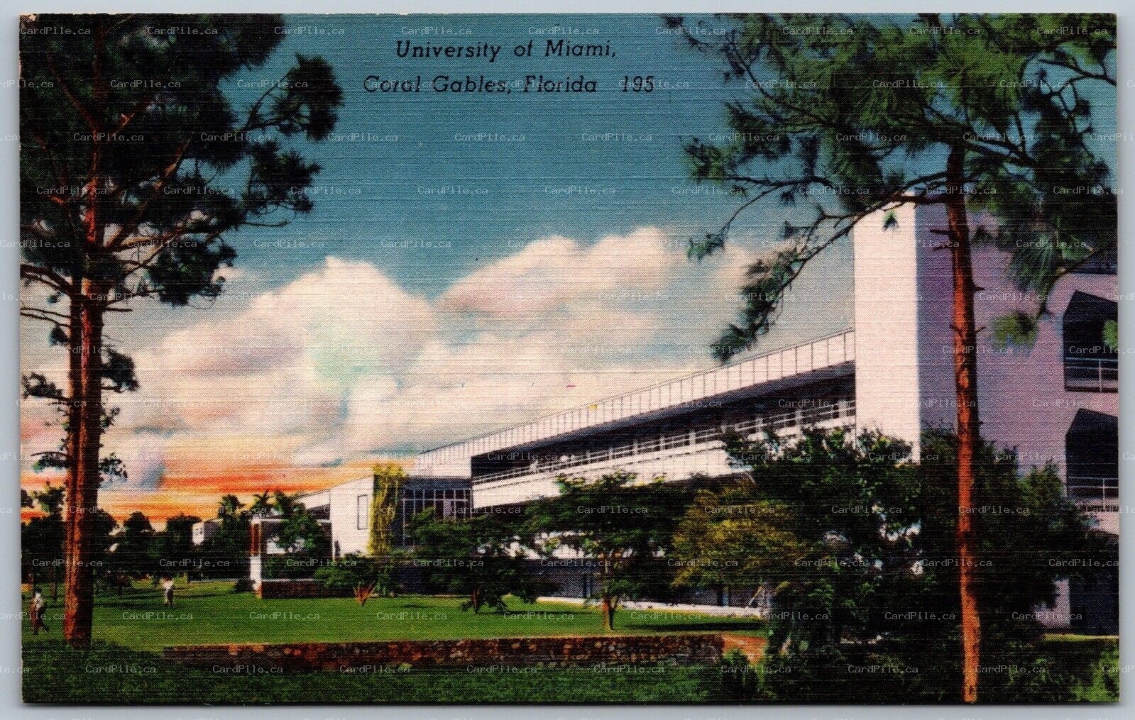 Postcard Coral Gables Florida c1940s University of Miami Linen