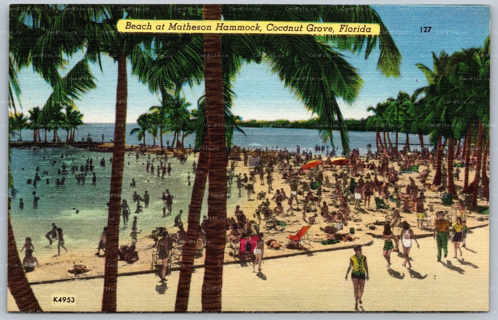 Postcard Coconut Grove Miami Florida c1940s Beach at Matheson Hammock Linen