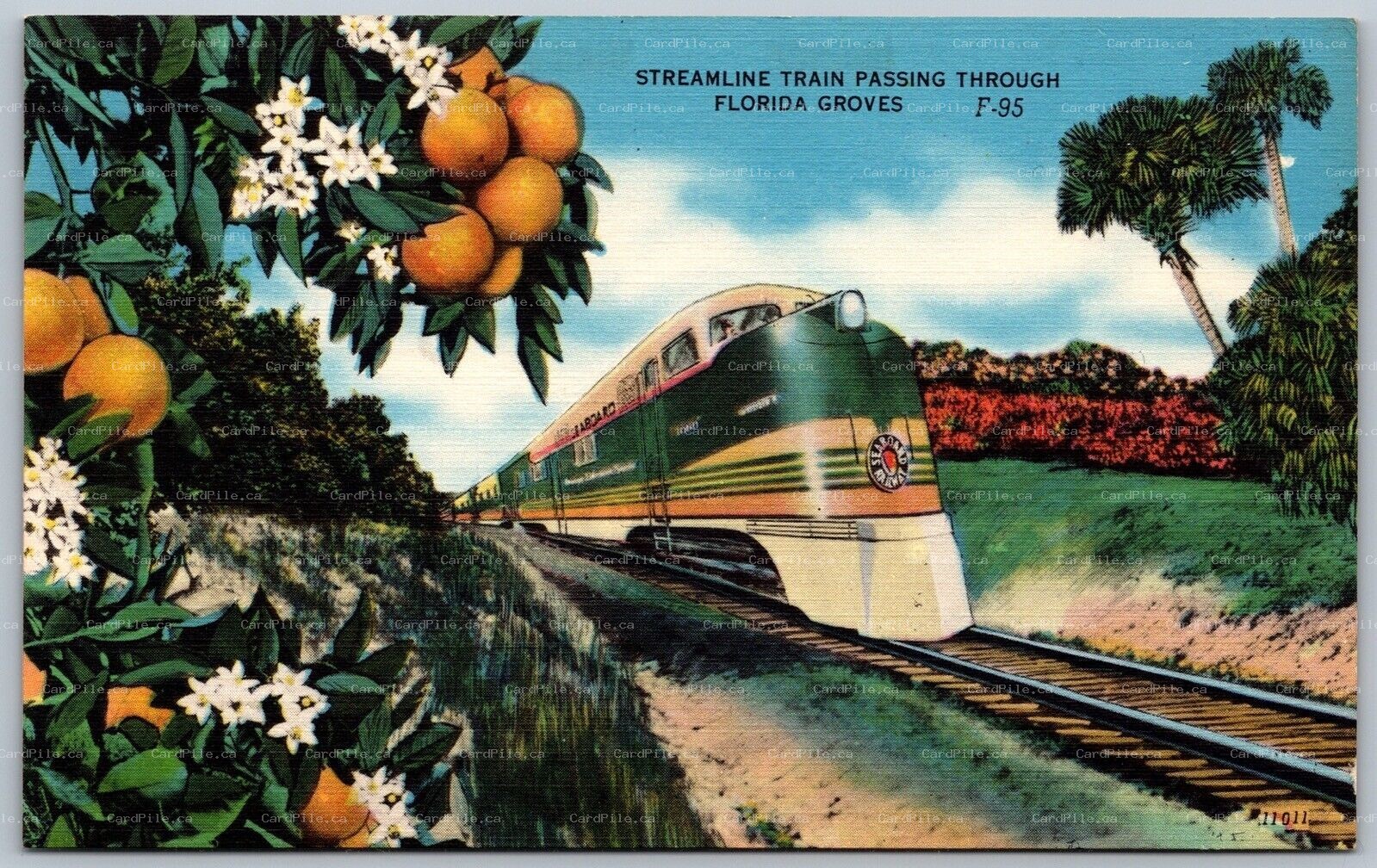 Postcard c1940s Streamline Train Passing Through Florida Groves Temperature