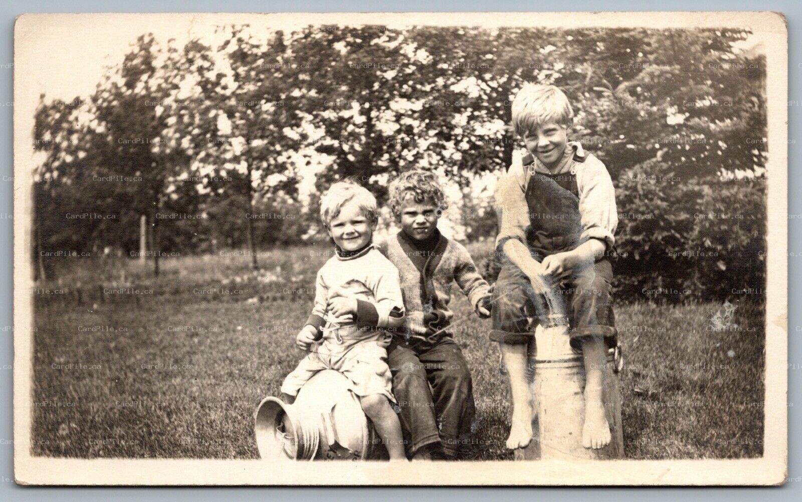 Postcard RPPC c1910s Photograph of Three Young Boys Sitting On Dairy Milk Cans