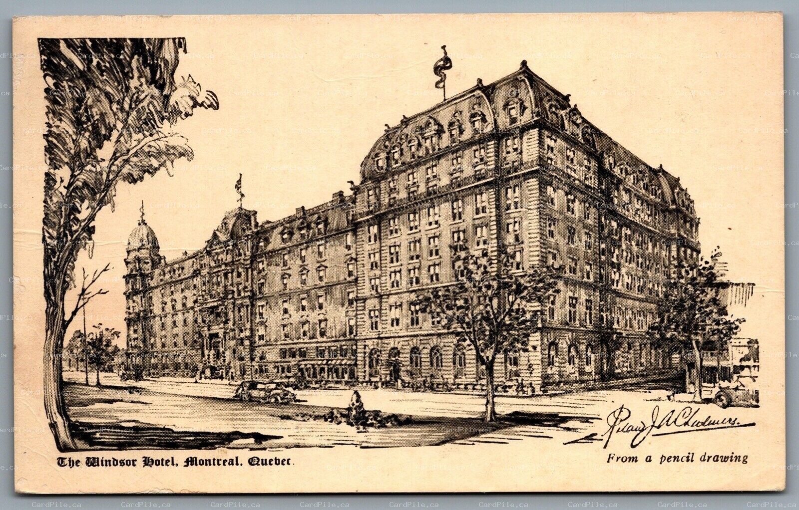 Postcard Montreal Quebec c1950s The Windsor Hotel A/S From Pencil Drawing 
