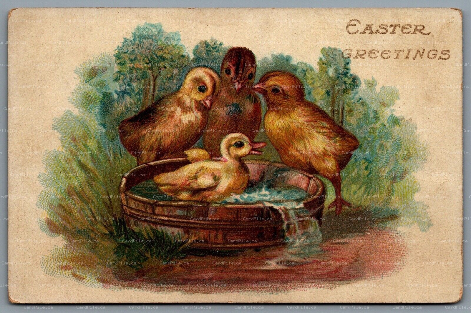 Postcard Easter c1909 Easter Greetings 4 Chicks Split Ring Cancel Copenhagen ON