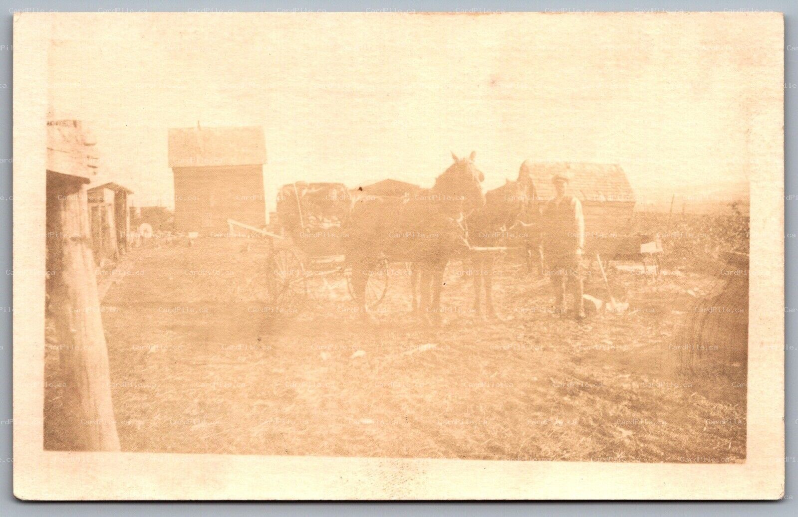 Postcard RPPC United States c1904-1918 Man with Horse Carriage in Farm