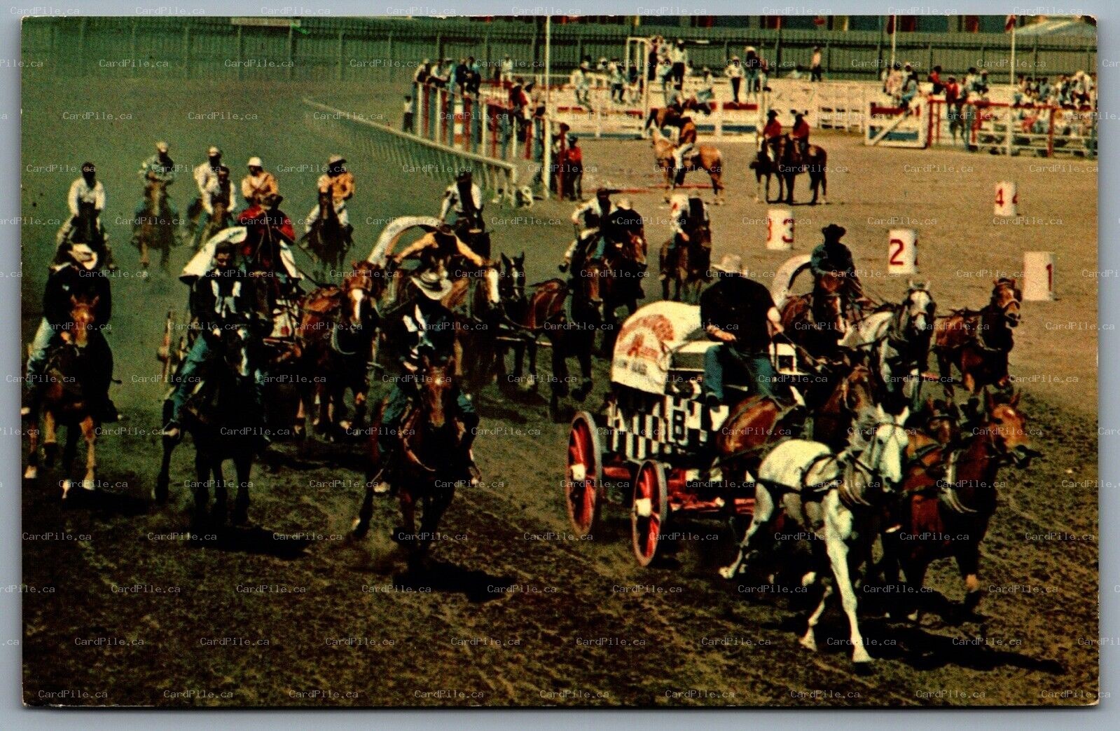Postcard Calgary Alberta c1960s World Famous Chuckwagon Races Calgary Stampede