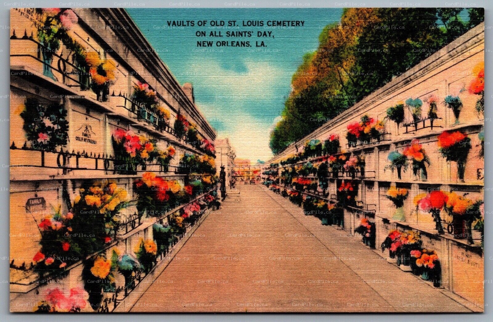 Postcard New Orleans LA c1940s Vaults in St. Louis Cemetery All Saints Day Linen