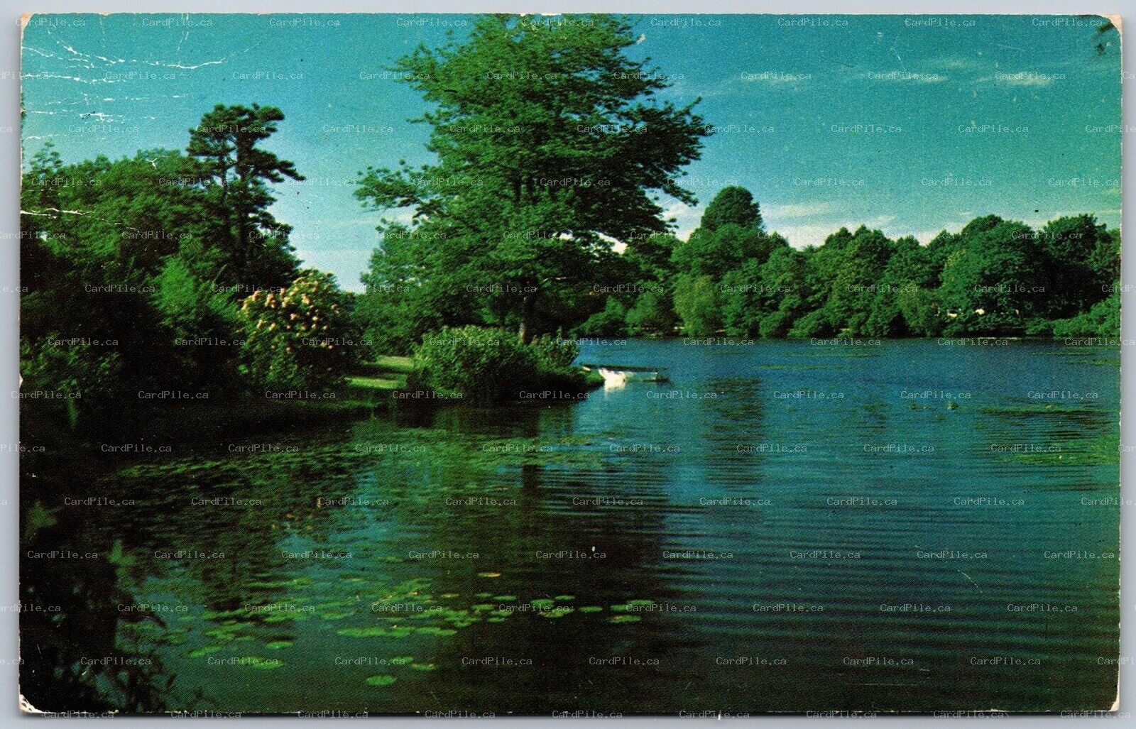 Postcard Grafton Ontario c1959 Scenic View 
