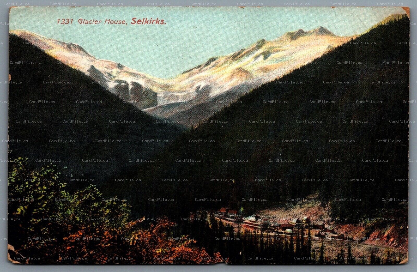Postcard Selkirks Mountains British Columbia c1910s Glacier House CPR Line