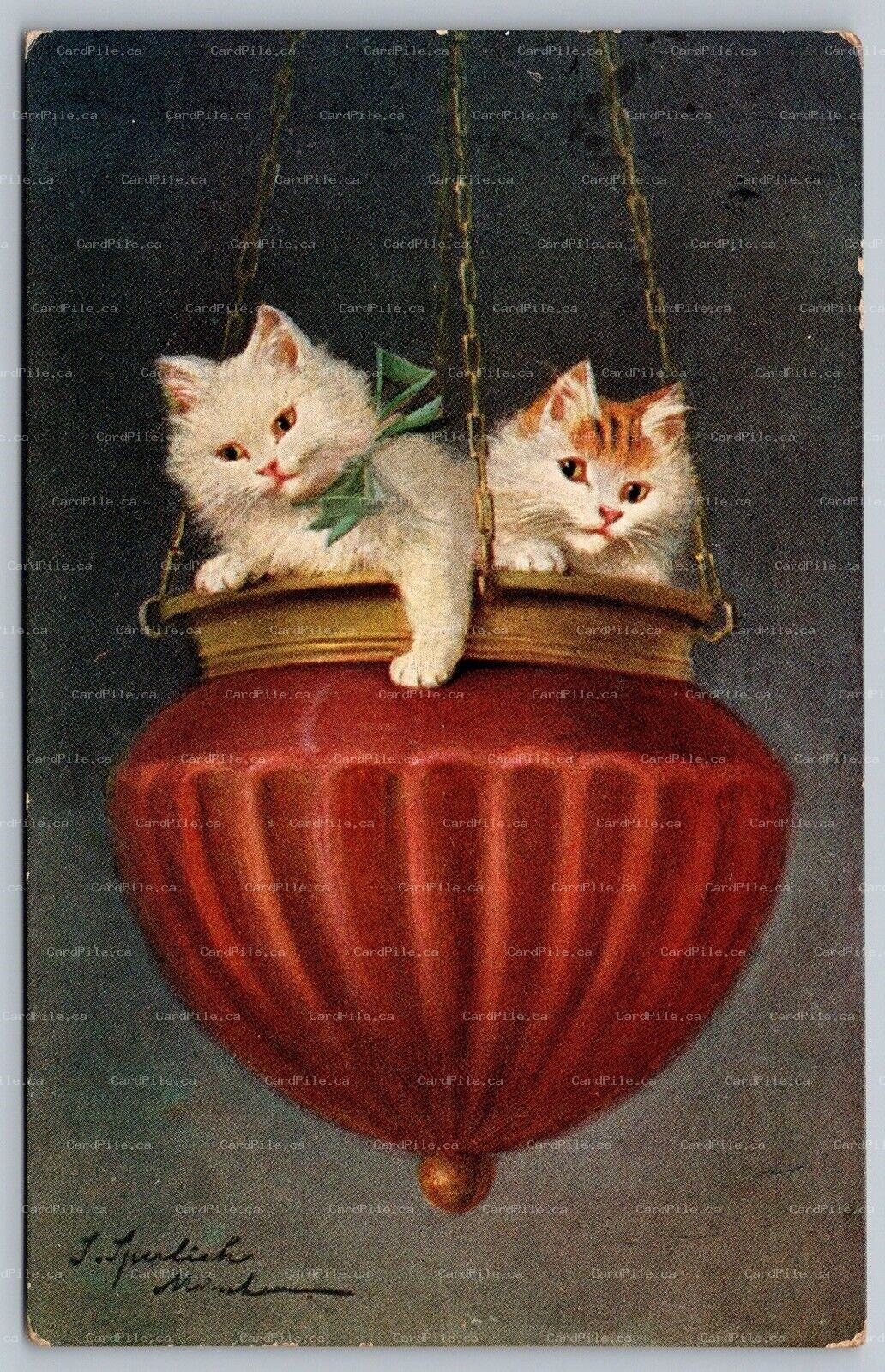 Postcard 1911 Artist Signed Sophie Sperlich Kittens In Hanging Pot To Sutorville
