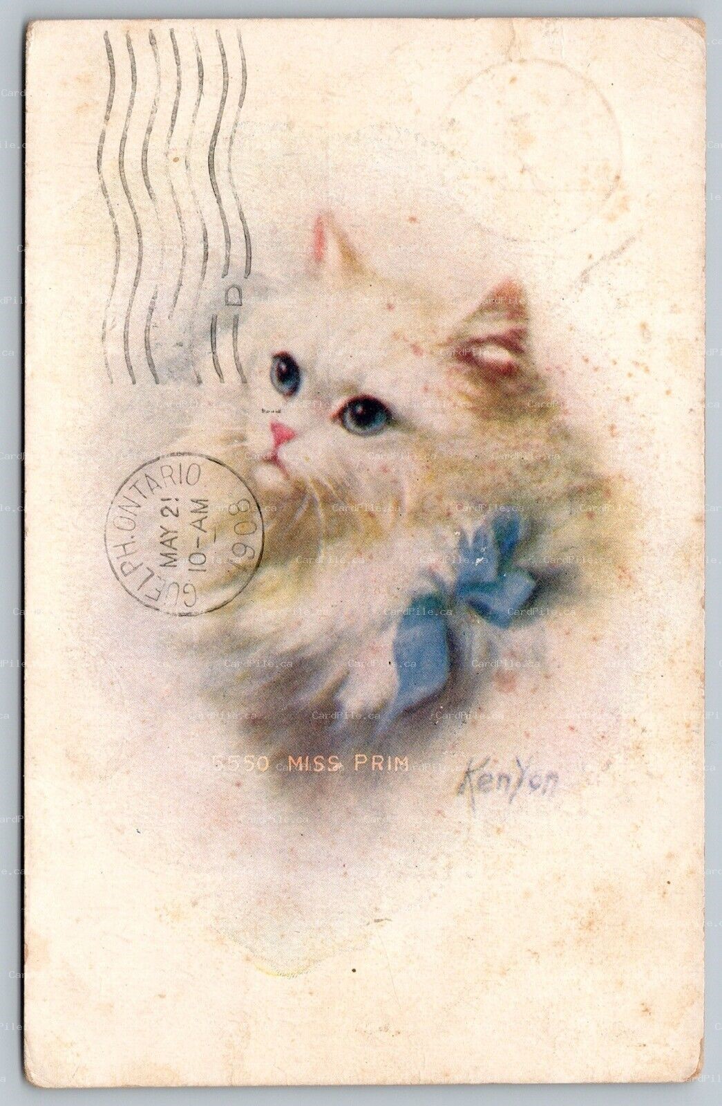 Postcard c1908 Artist Signed Zula Kenyon Miss Prim Kitten Cobden ONT To Everton