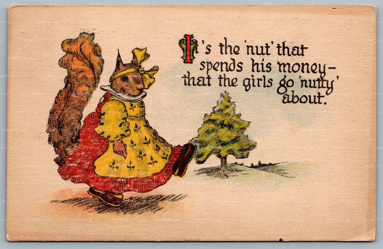 Postcard c1916 Anthropomorphic Squirrel Wearing Dress Girls Go Nutty About