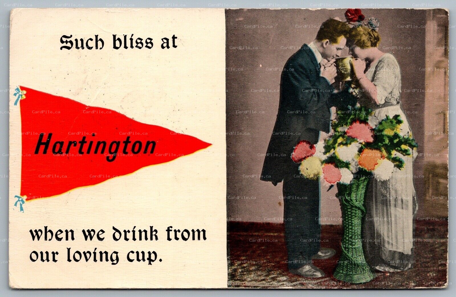Postcard Hartington Ontario c1914 Pennant Flag Such Bliss Love Split Ring Cancel