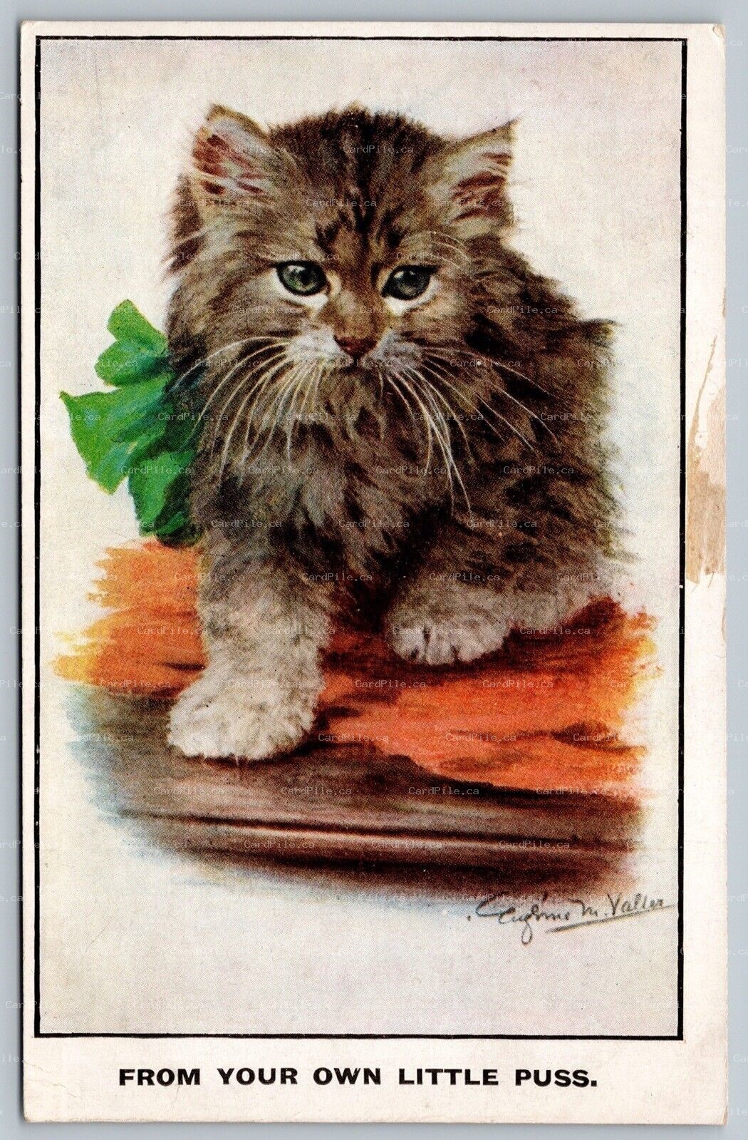 Postcard c1910s Artist Signed Eugene M. Valler From Your Own Little Puss Kitten