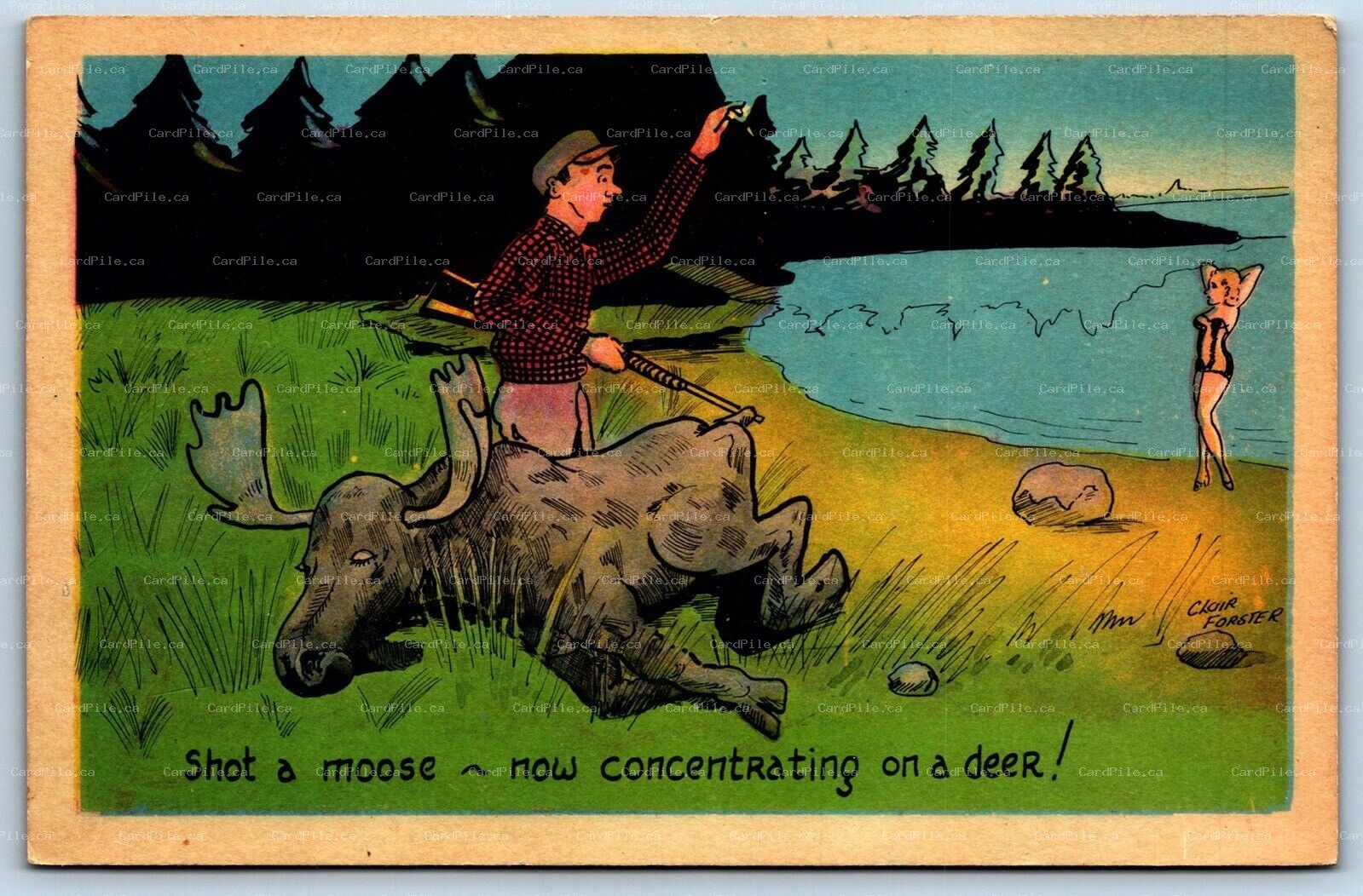 Postcard c1940s Shot A Moose Now Concentrating On a Deer A/S Clair Forester