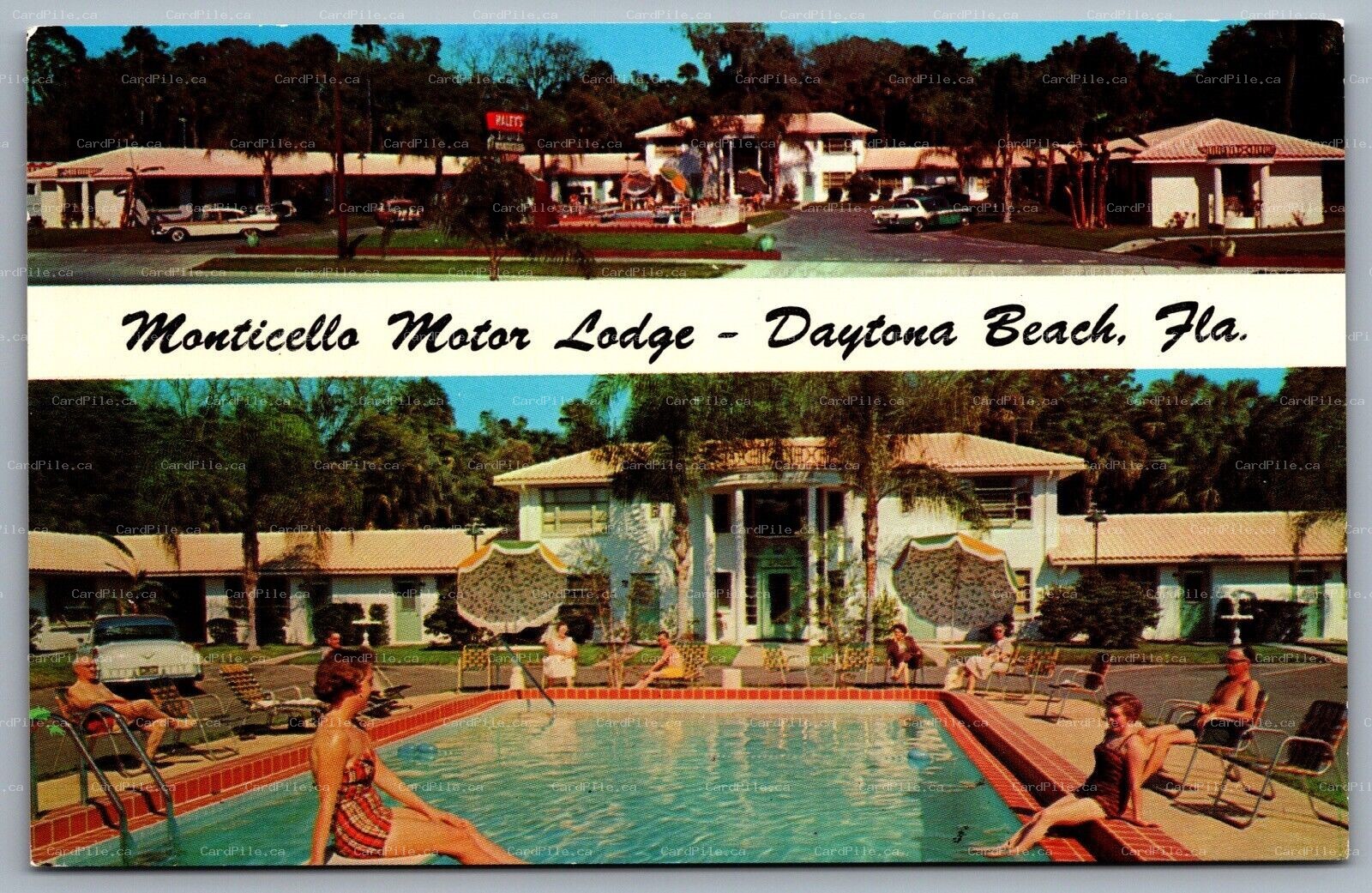 Postcard Daytona Beach FL c1950s Monticello Motor Lodge Dual View Swimming Pool