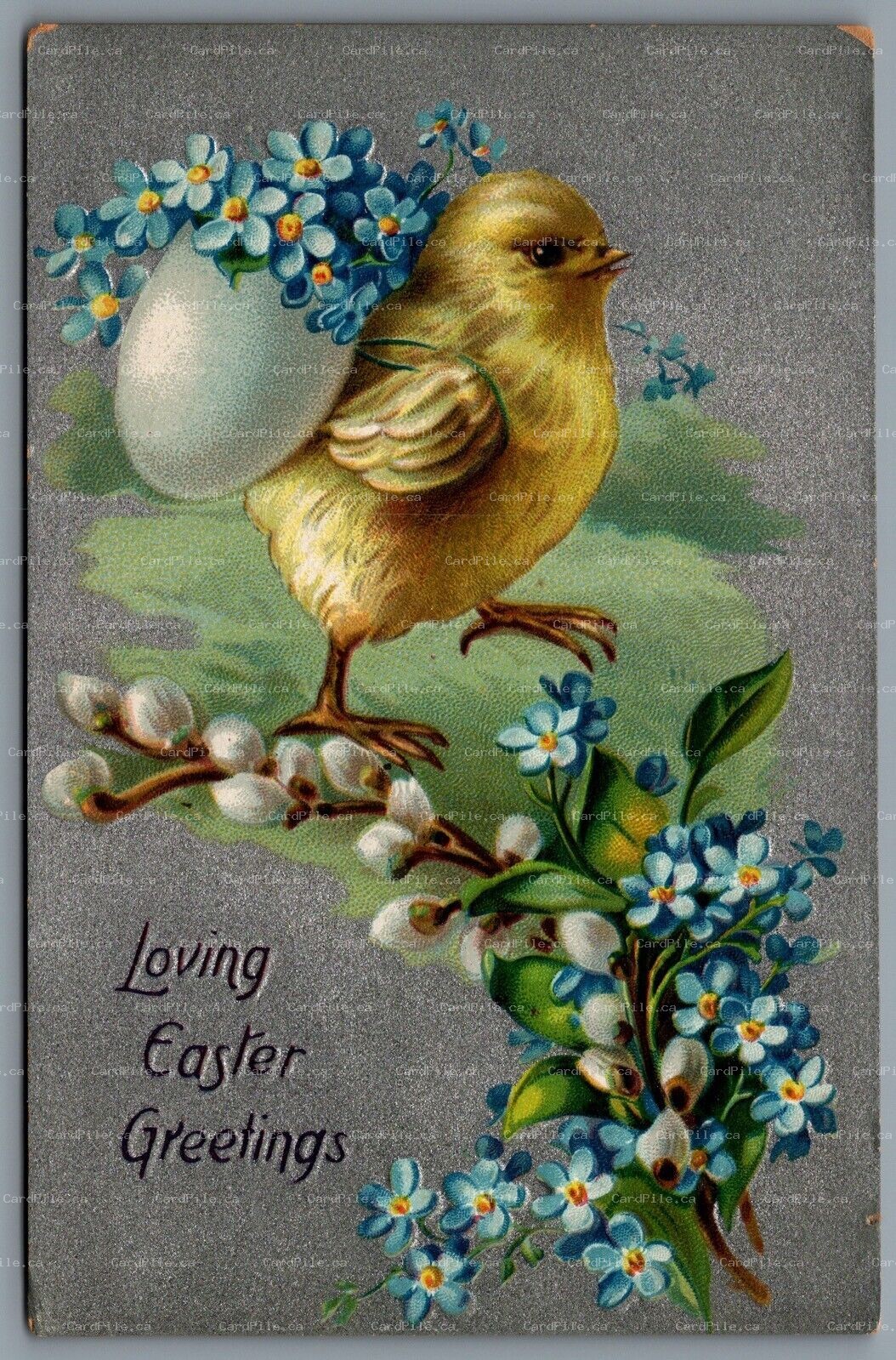 Postcard Easter c1909 Tucks Loving Easter Greetings Chick Carries Eggshell