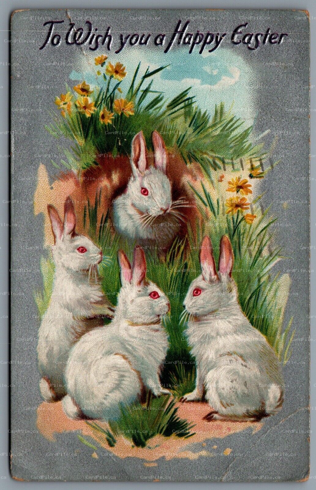 Postcard Easter c1909 Tucks To Wish You A Happy Easter 4 Rabbits Embossed