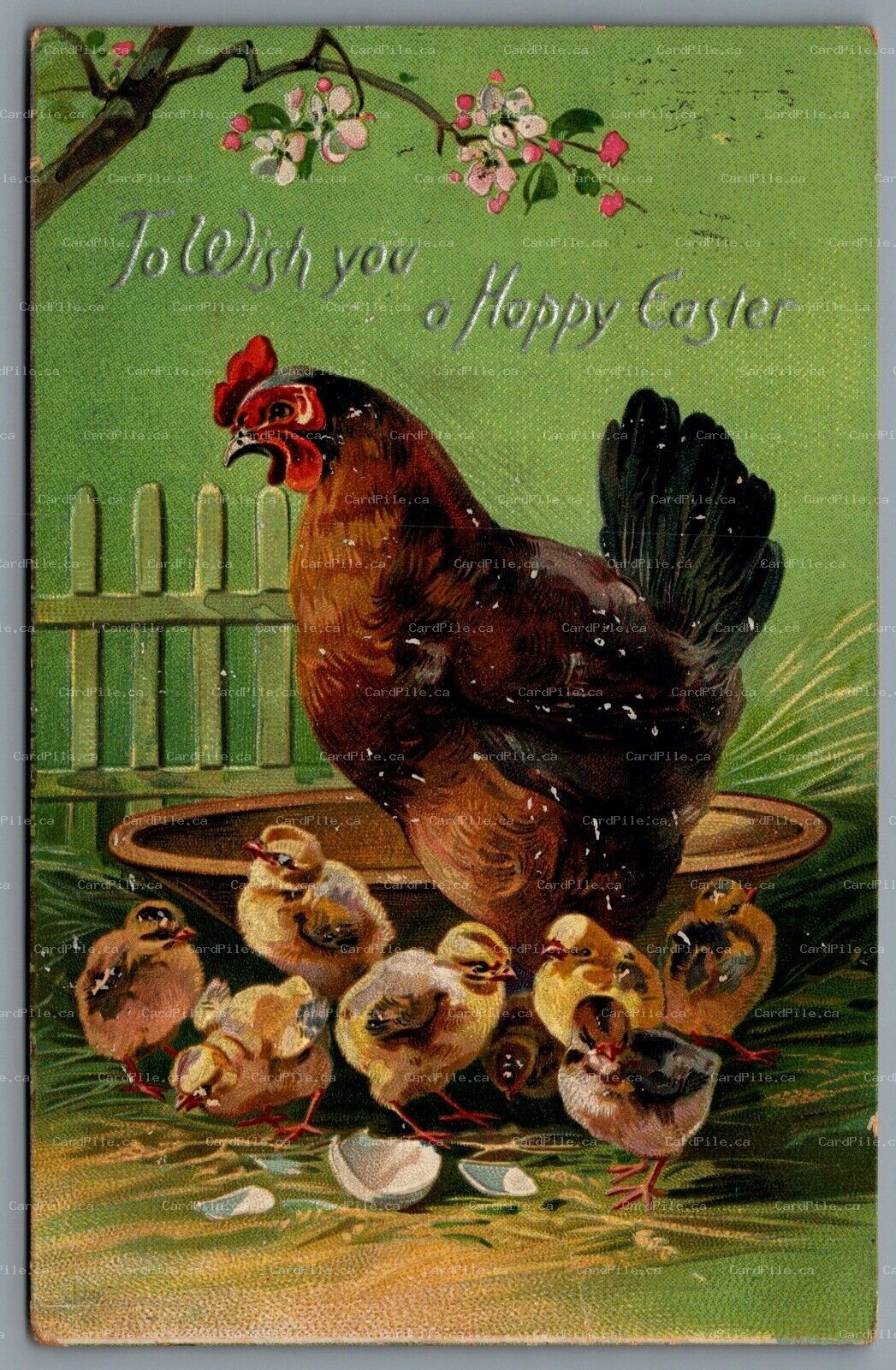 Postcard Easter c1909 Tucks To Wish You a Happy Easter Hen and Chicks Embossed